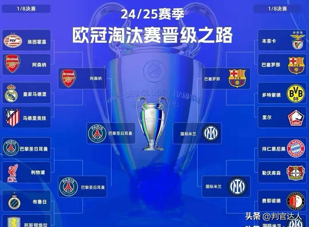 夺冠倒计时！国内顶尖体育赛事谁将问鼎